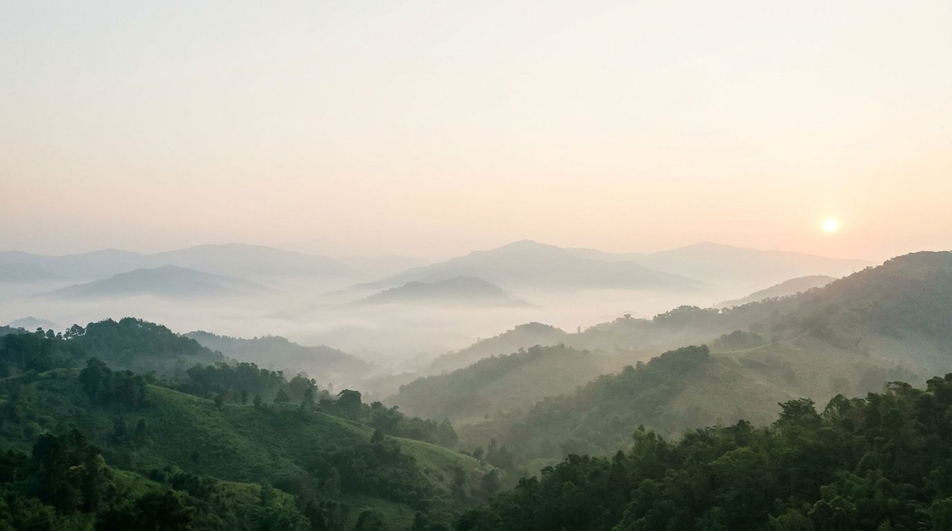 Forested hills fading into layers of morning mist as the sun rises